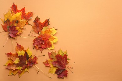 Photo of Autumn season. Colorful maple leaves on pale orange background, flat lay with space for text