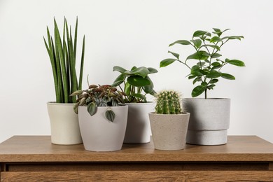 Many different houseplants in pots on wooden table near white wall