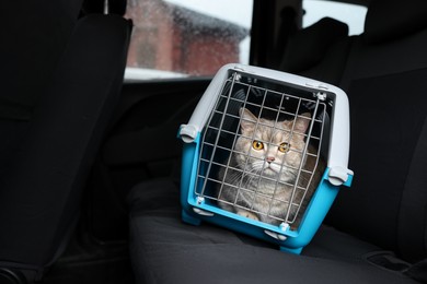 Photo of Travel with pet. Cute cat in carrier inside car, space for text