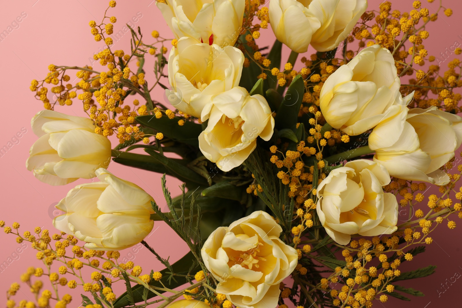 Photo of Bouquet with beautiful tulips and mimosa flowers on pink background, closeup