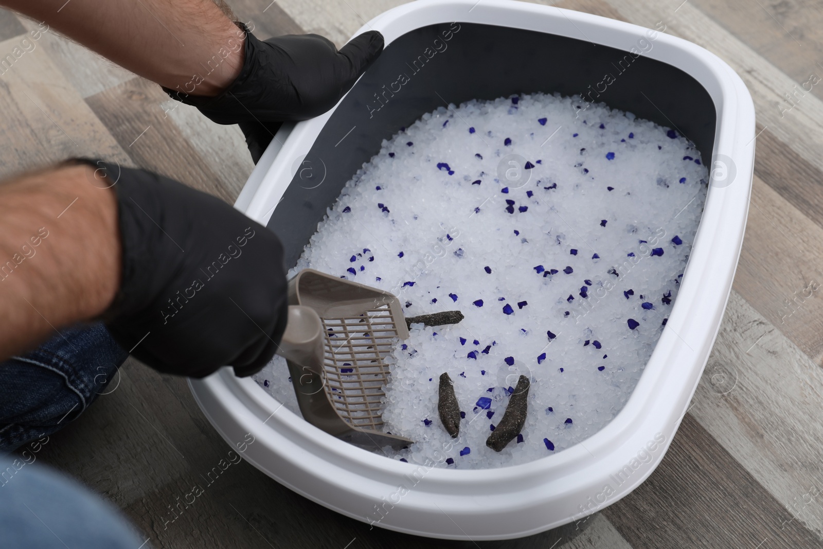 Photo of Man in gloves cleaning cat litter tray at home, closeup