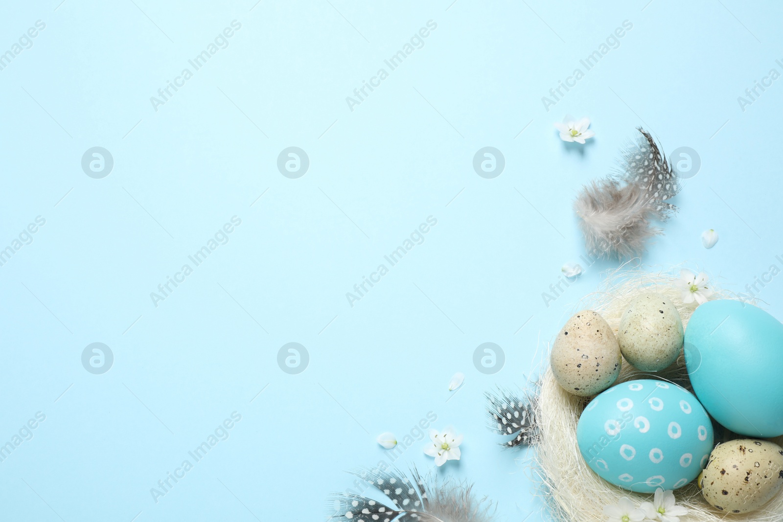 Photo of Flat lay composition with Easter eggs on light blue background. Space for text