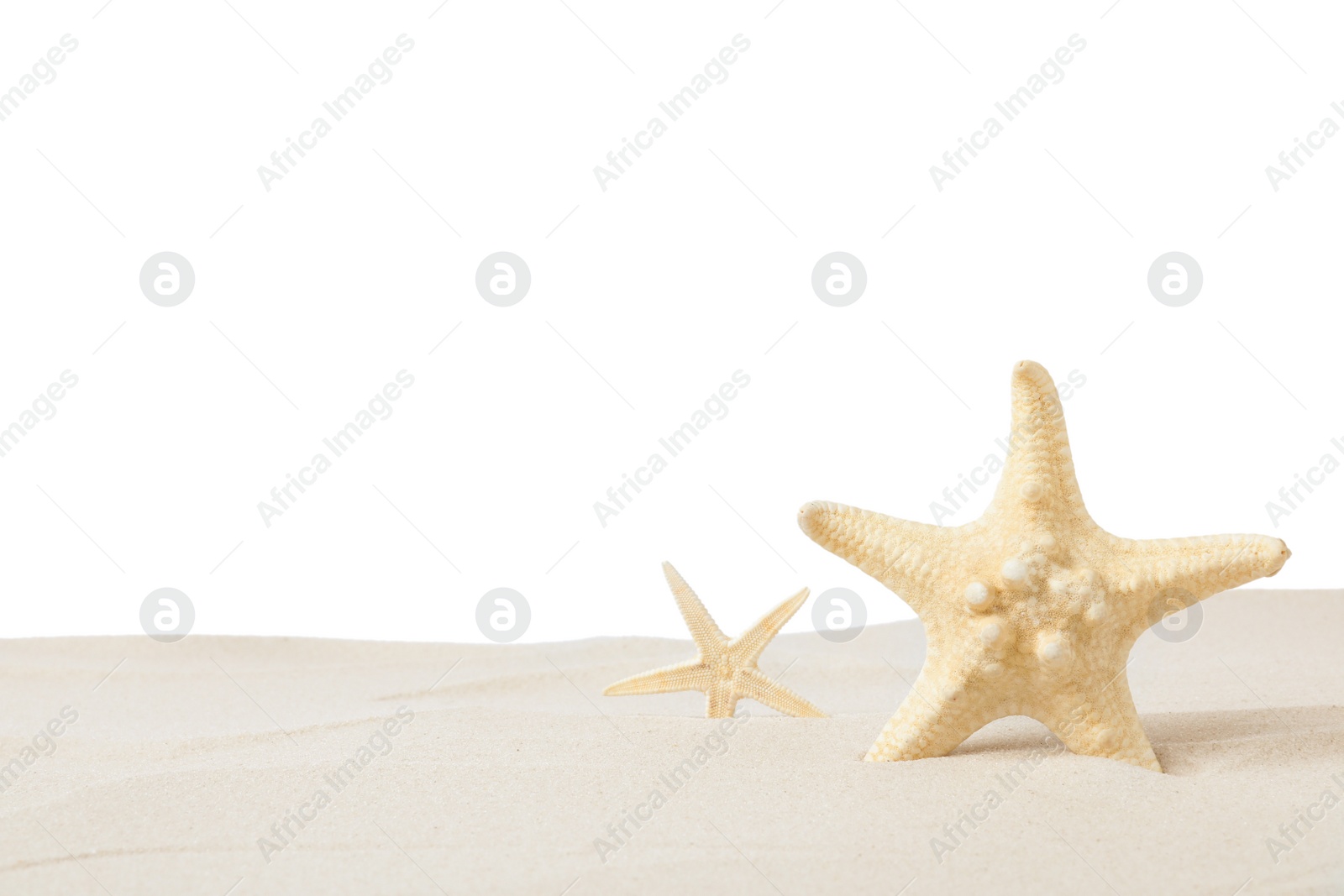 Photo of Beautiful sea stars in sand on white background