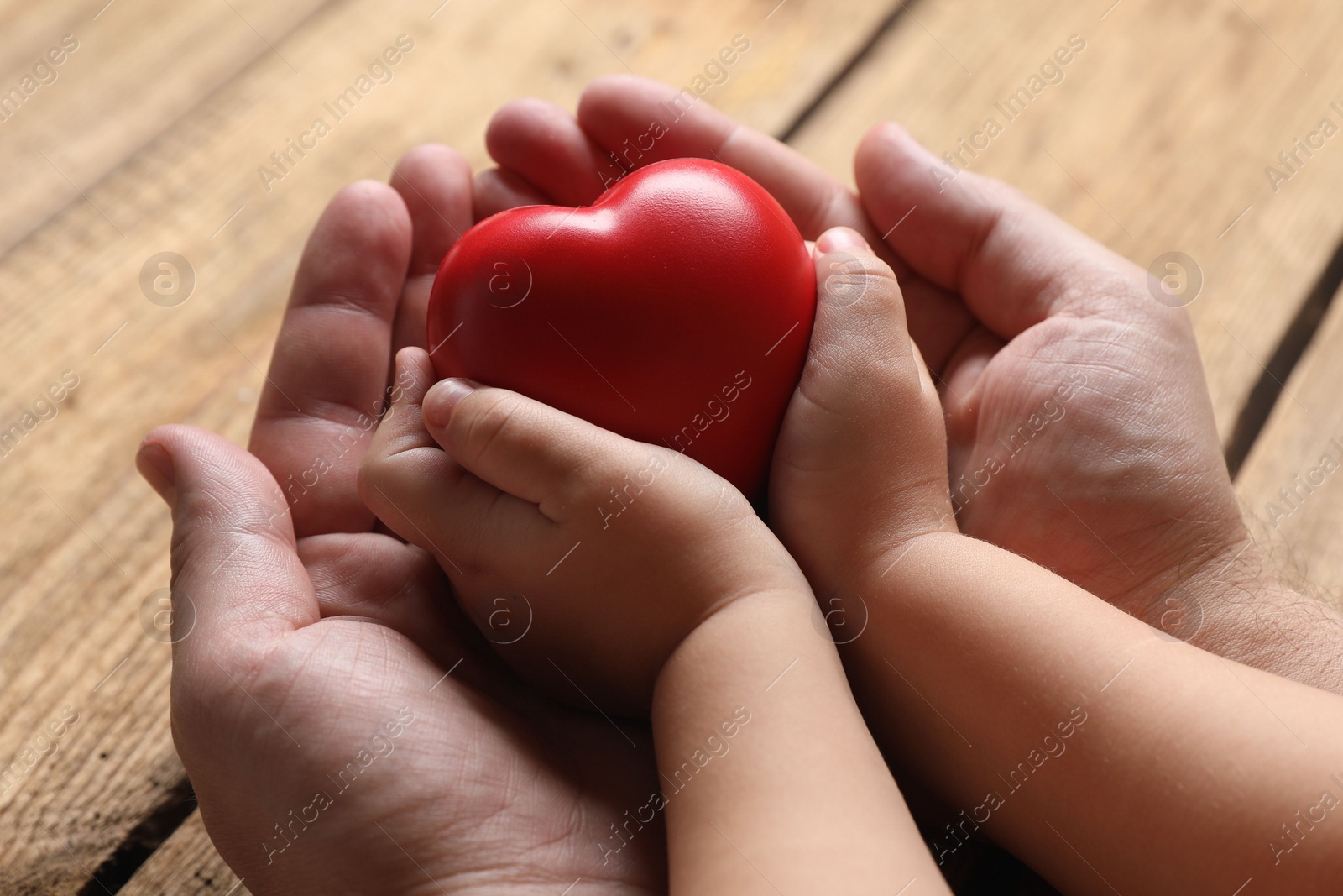 Photo of Father and his child holding red decorative heart at wooden table, closeup