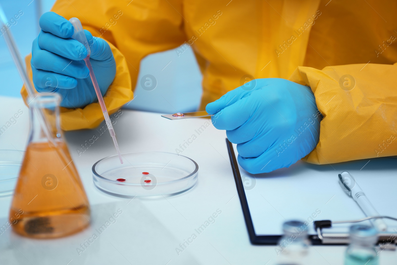 Photo of Scientist in chemical protective suit dripping reagent into Petri dish at laboratory, closeup. Virus research