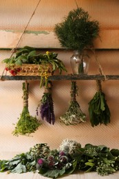 Bunches of different beautiful dried flowers and herbs indoors