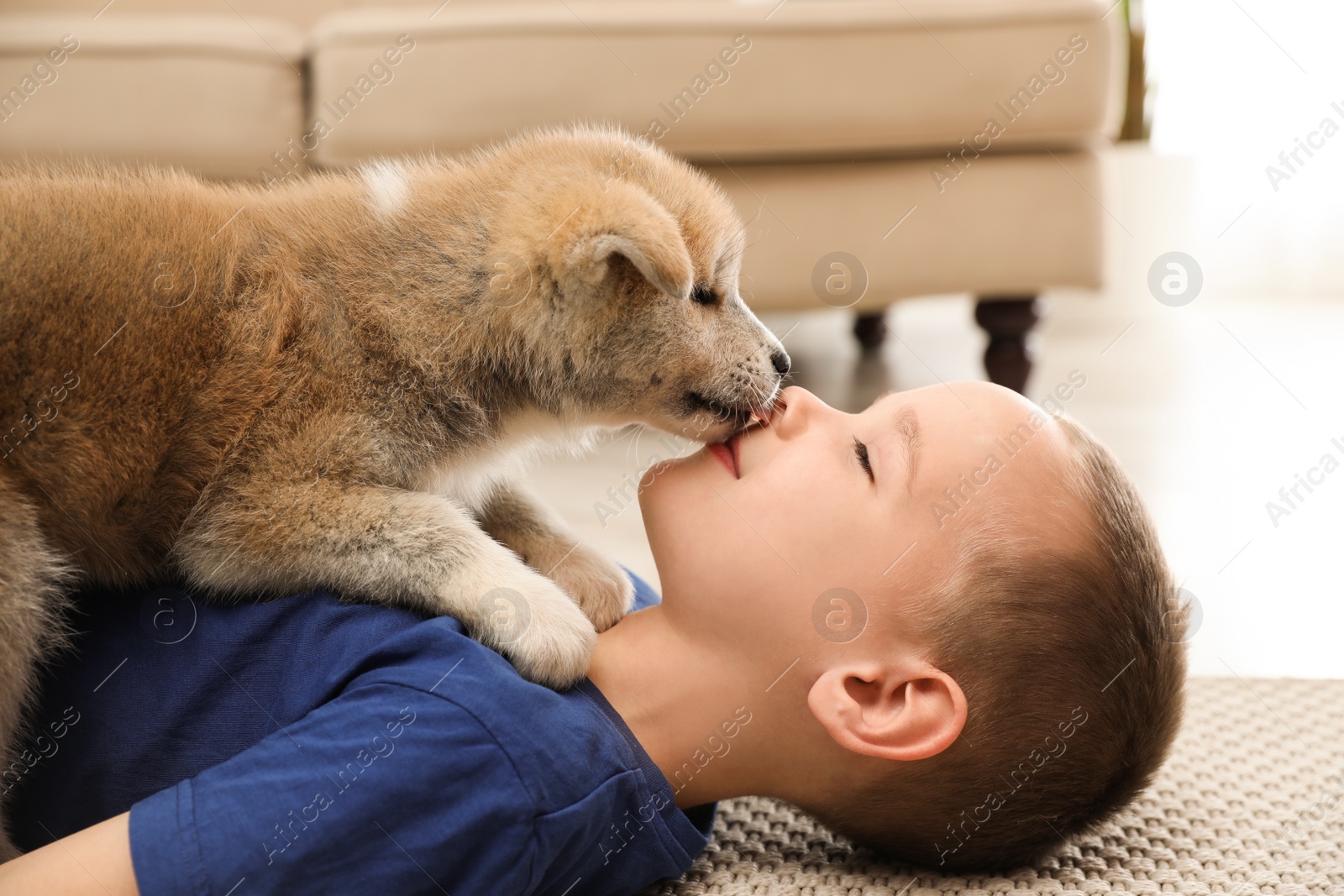 Photo of Little boy with Akita inu puppy on floor at home. Friendly dog