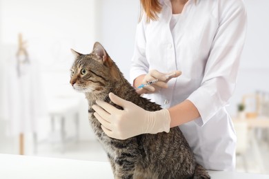 Image of Professional veterinarian vaccinating cute cat in clinic