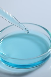 Photo of Dripping liquid from pipette into petri dish at white table, closeup