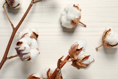 Photo of Dried cotton branches with fluffy flowers on white wooden table, flat lay