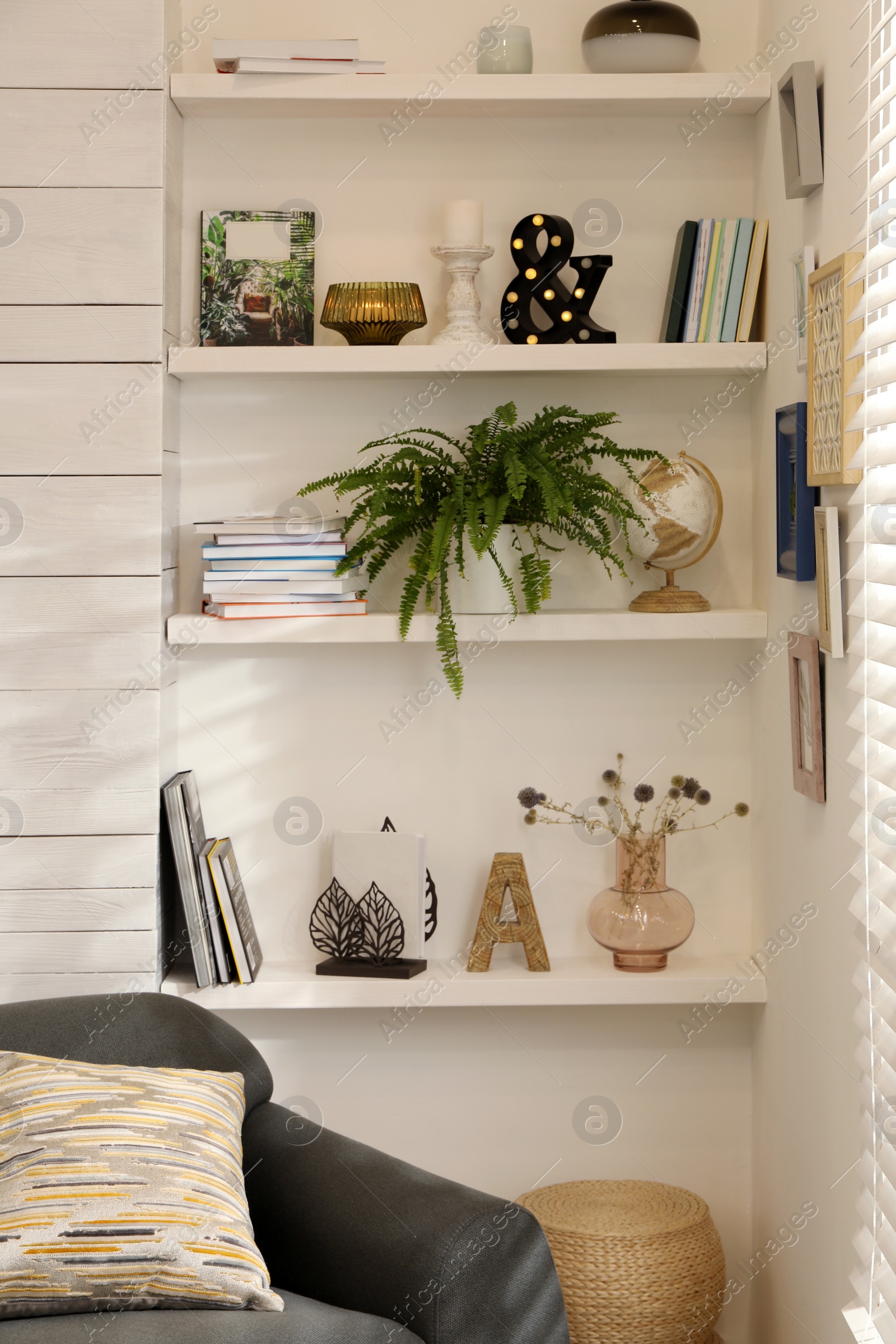 Photo of Beautiful green plant and different decor on shelves in room. Interior design