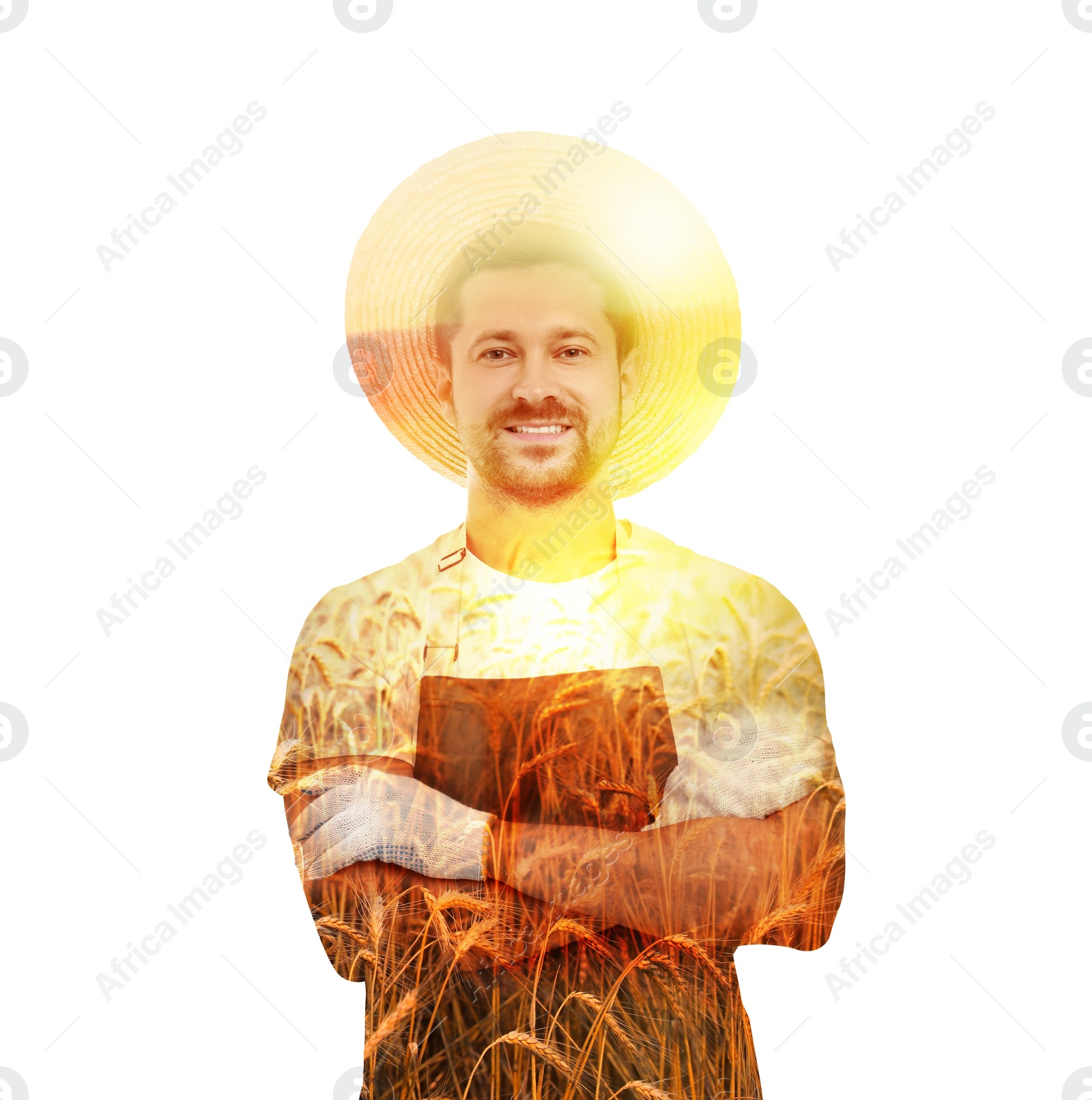 Image of Double exposure of farmer and wheat field on white background