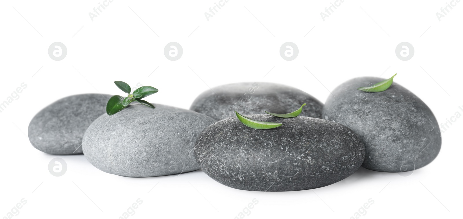 Photo of Grey spa stones and fresh green leaves isolated on white