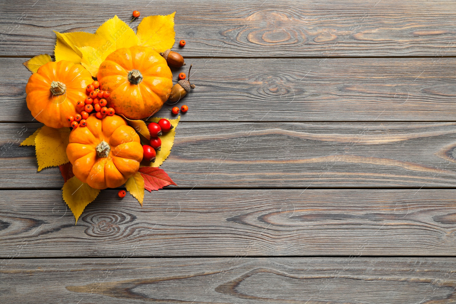 Photo of Flat lay composition with ripe pumpkins and autumn leaves on grey wooden table, space for text. Happy Thanksgiving day