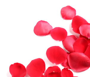 Photo of Fresh red rose petals on white background, top view