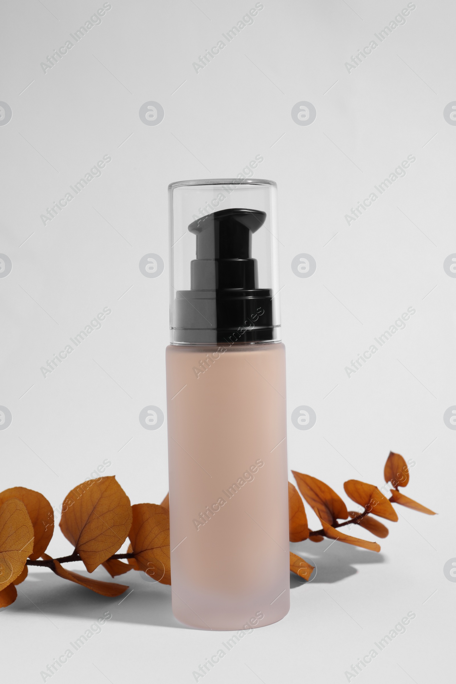 Photo of Bottle of skin foundation and decorative branch on white background. Makeup product