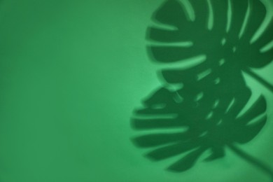 Photo of Shadow of monstera leaves on green background, space for text