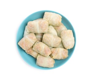 Uncooked stuffed cabbage rolls on white background, top view