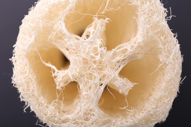 Photo of Natural loofah sponge on dark background, closeup