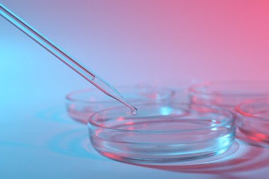 Dripping liquid from pipette into petri dish on color background, closeup