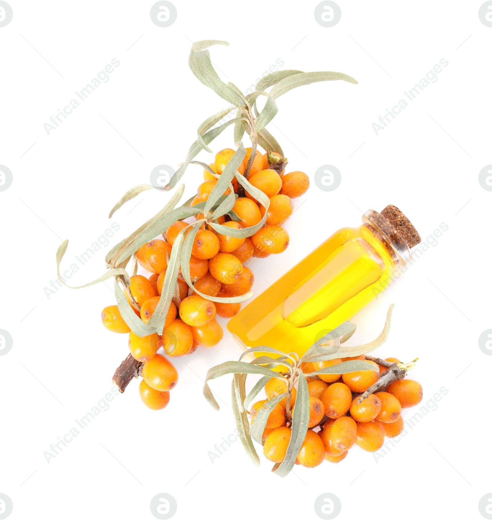 Photo of Natural sea buckthorn oil and fresh berries on white background, top view