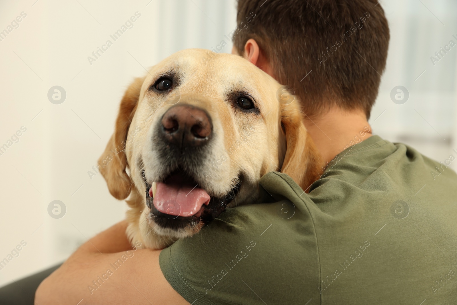 Photo of Man hugging his cute Labrador Retriever at home, back view