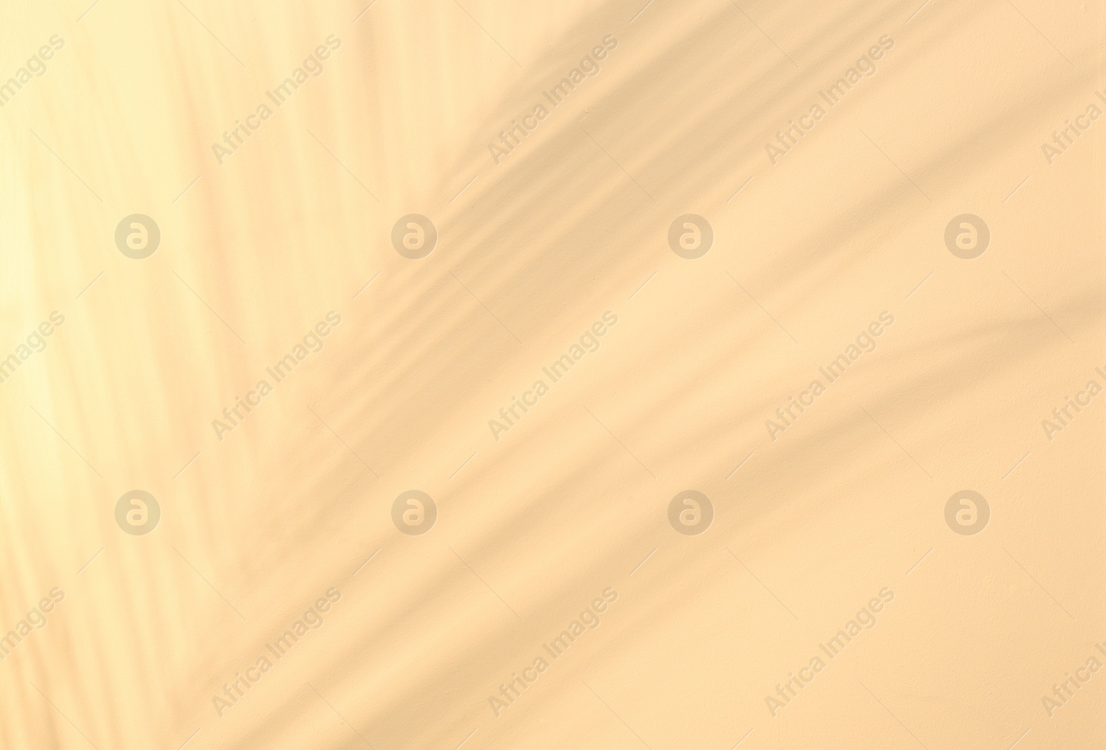 Photo of Shadow of tropical palm leaves on beige background