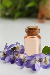 Photo of Beautiful wood violets and essential oil on white table. Spring flowers