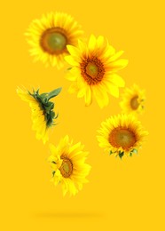 Image of Bright sunflowers in air on golden background