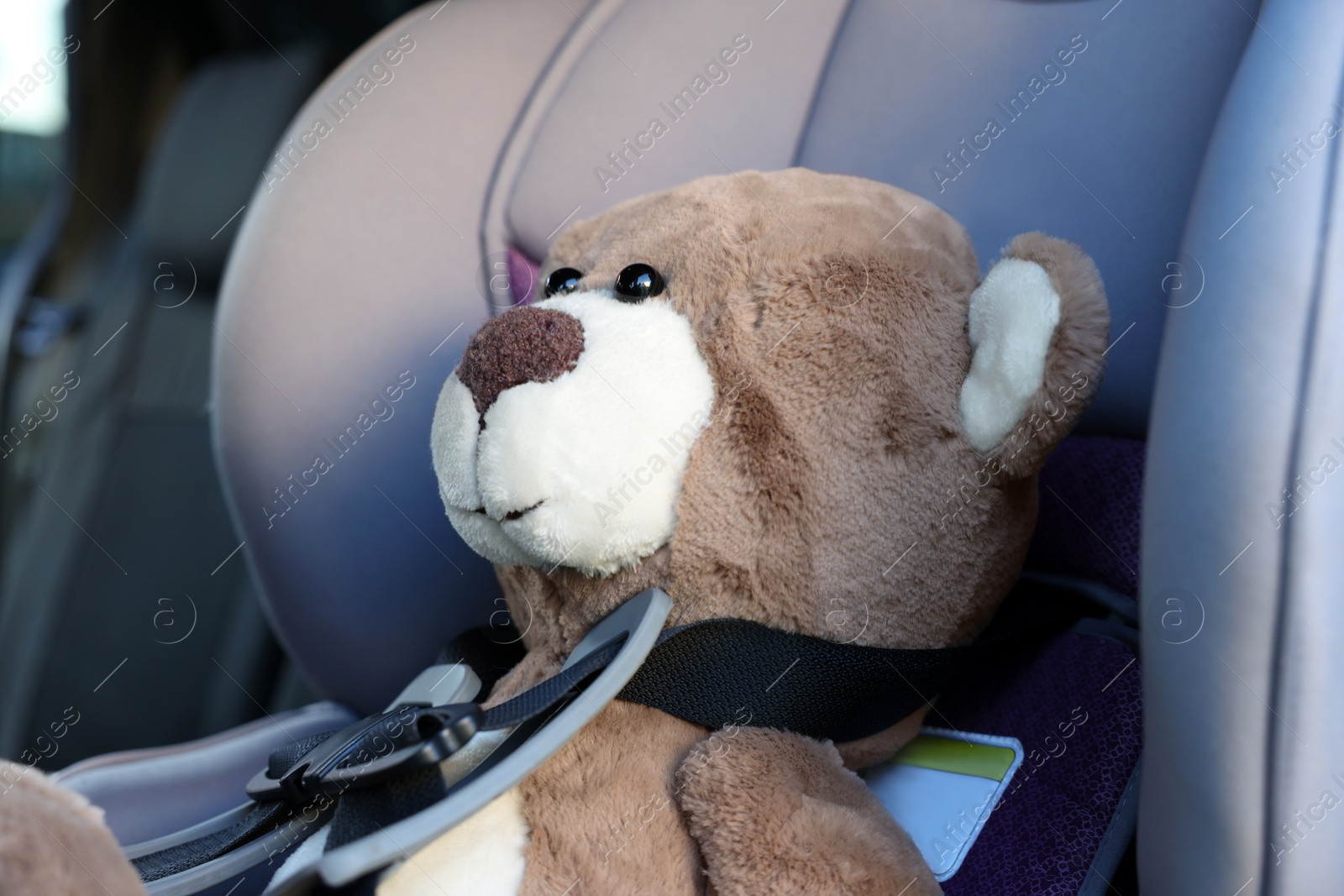 Photo of Teddy bear in child safety seat inside car