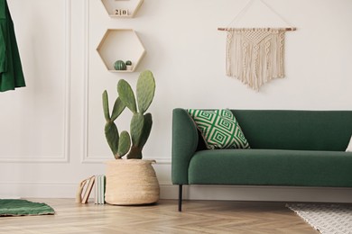 Photo of Stylish living room interior with beautiful potted cactus and modern furniture