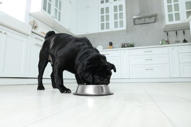 Photo of Cute Pug dog eating from metal bowl in kitchen, space for text