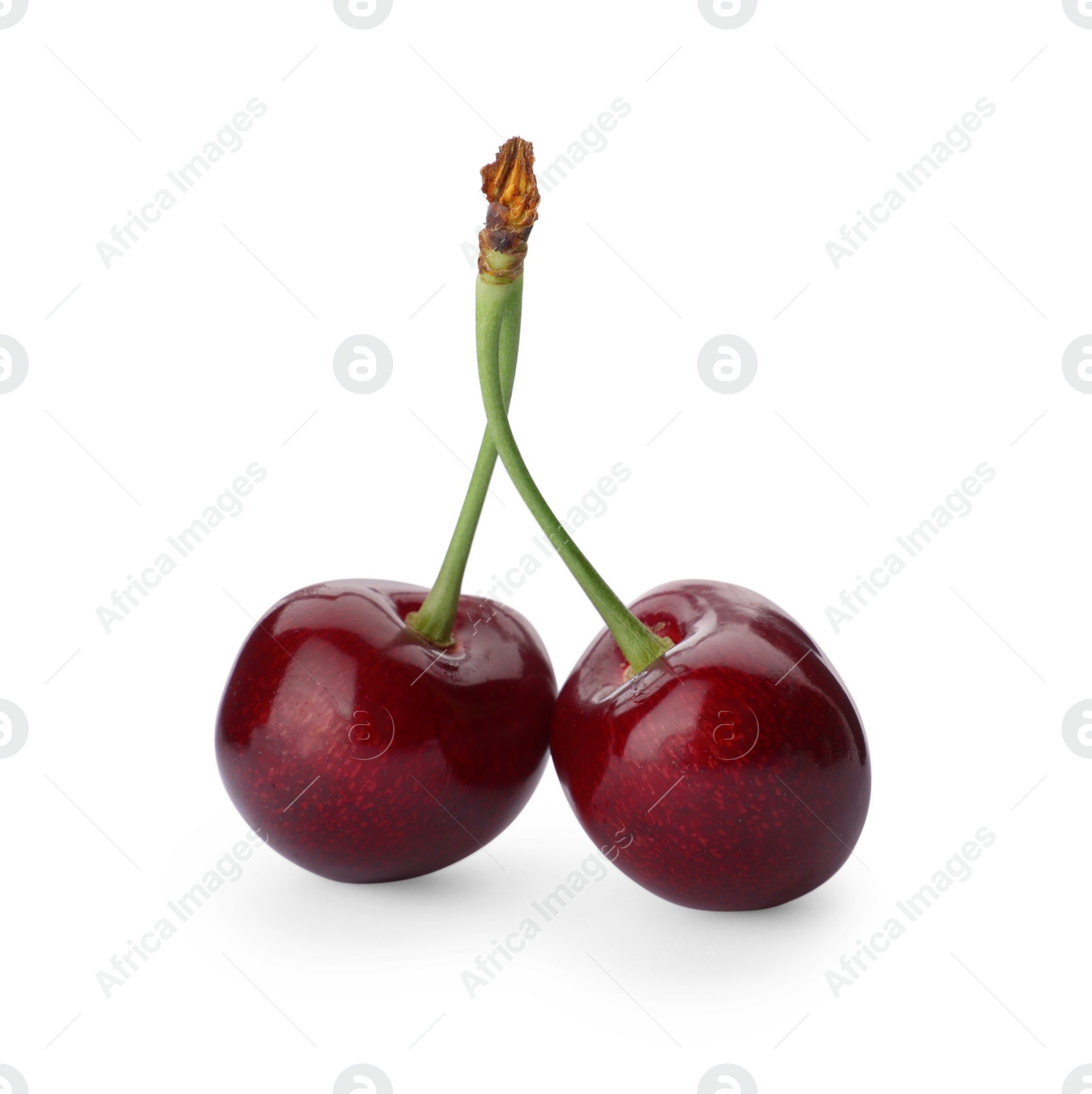 Photo of Two ripe sweet cherries isolated on white