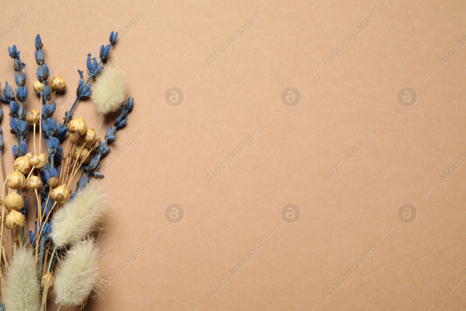 Photo of Bouquet of dried flowers on light brown background, flat lay. Space for text