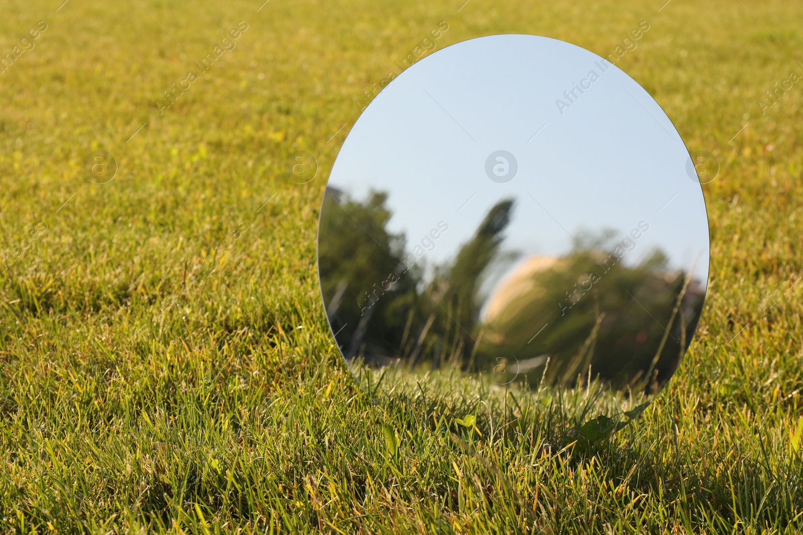 Photo of Round mirror on grass reflecting trees and sky. Space for text