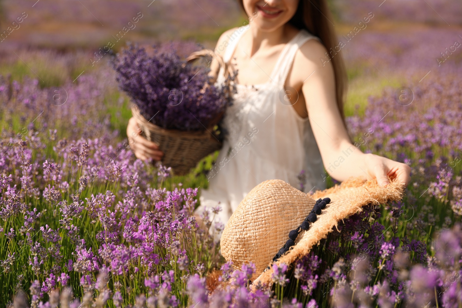 Photo of Young woman with straw hat in lavender field on summer day, closeup