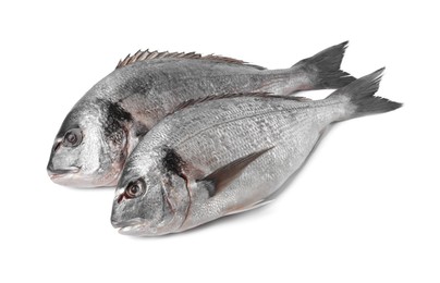 Photo of Fresh raw dorado fish isolated on white
