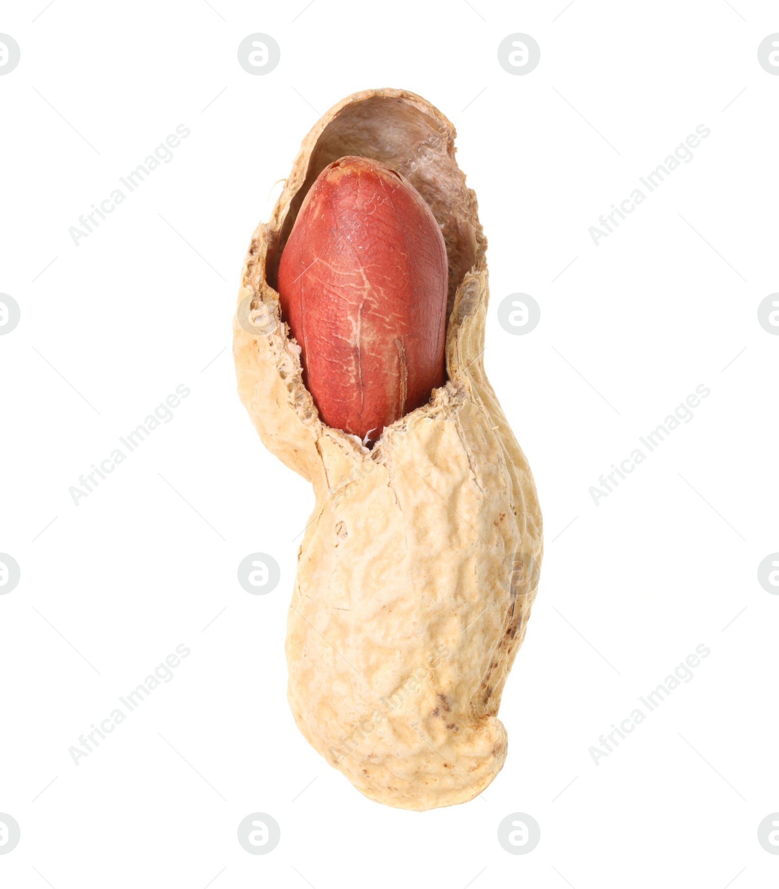 Photo of Broken raw peanut pod isolated on white