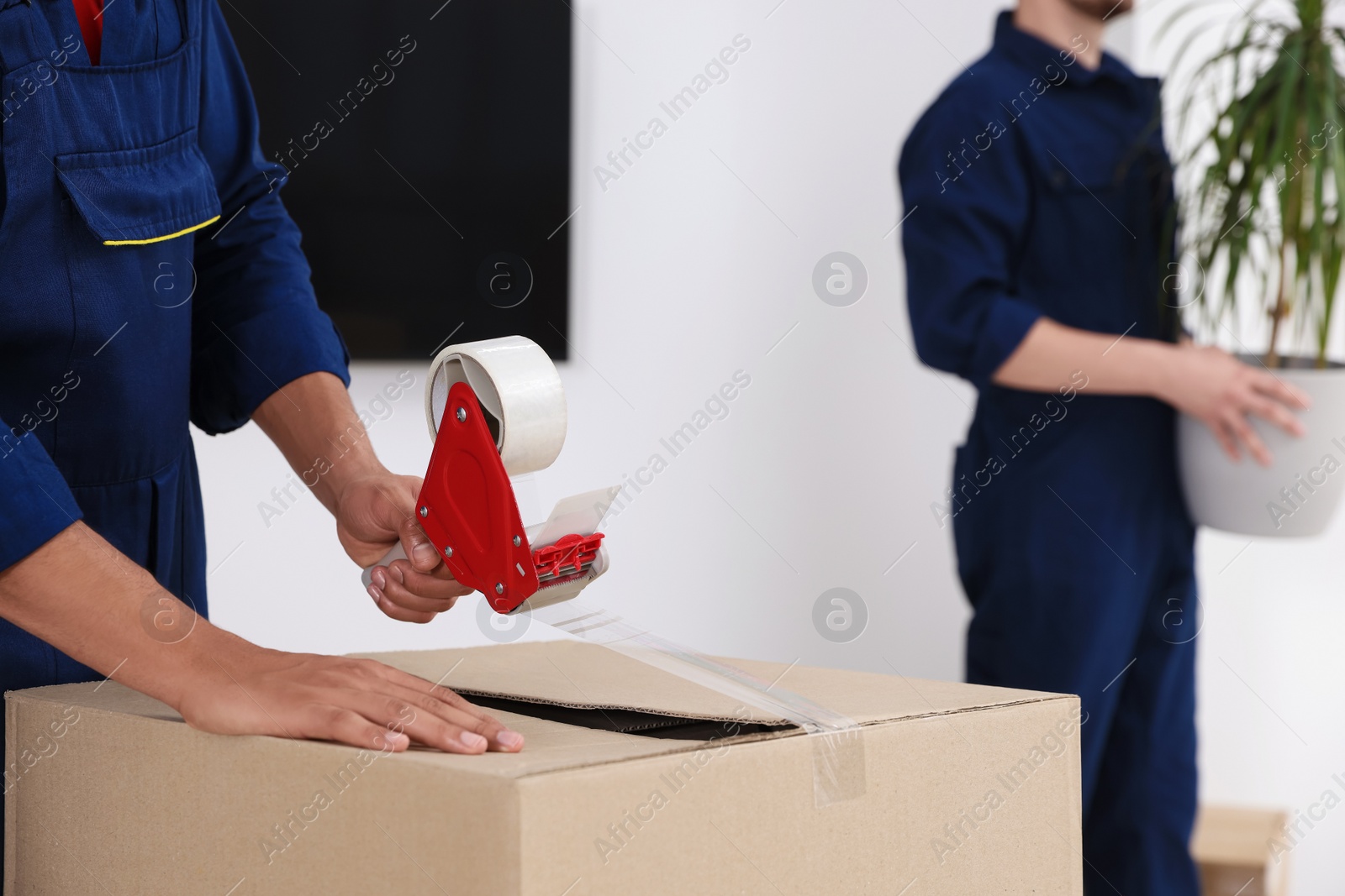 Photo of Male mover packing box with adhesive tape in house, closeup