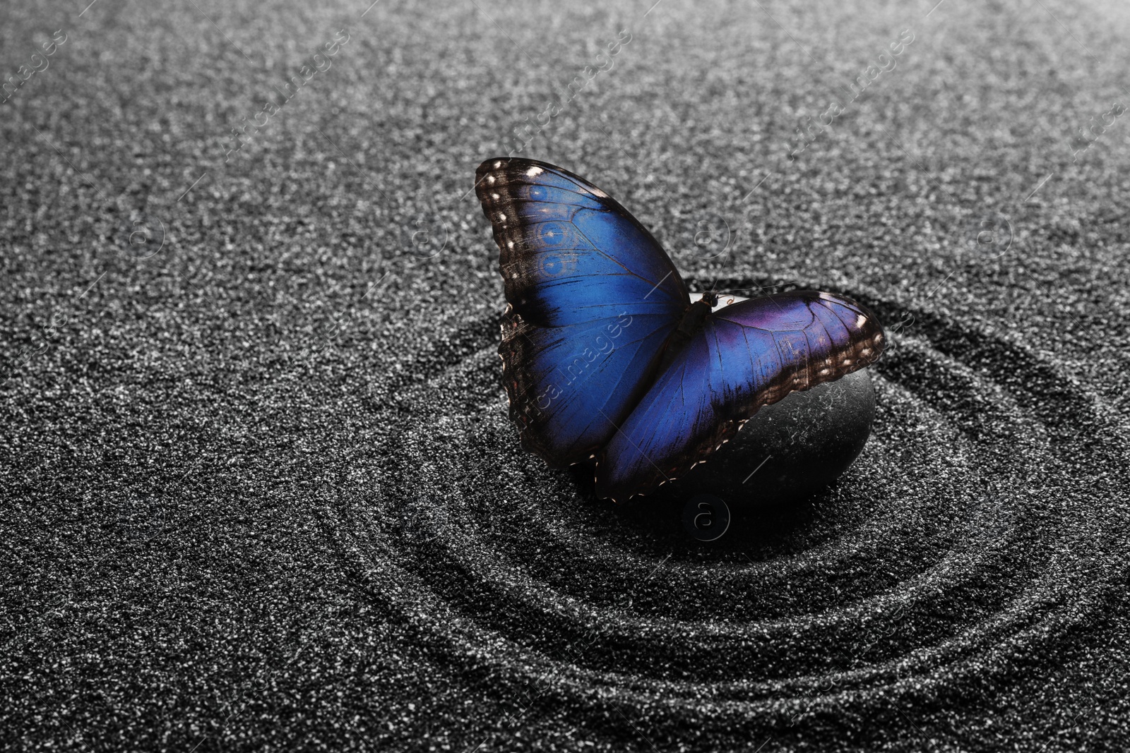 Image of Beautiful butterfly and stone on black sand with pattern. Zen concept