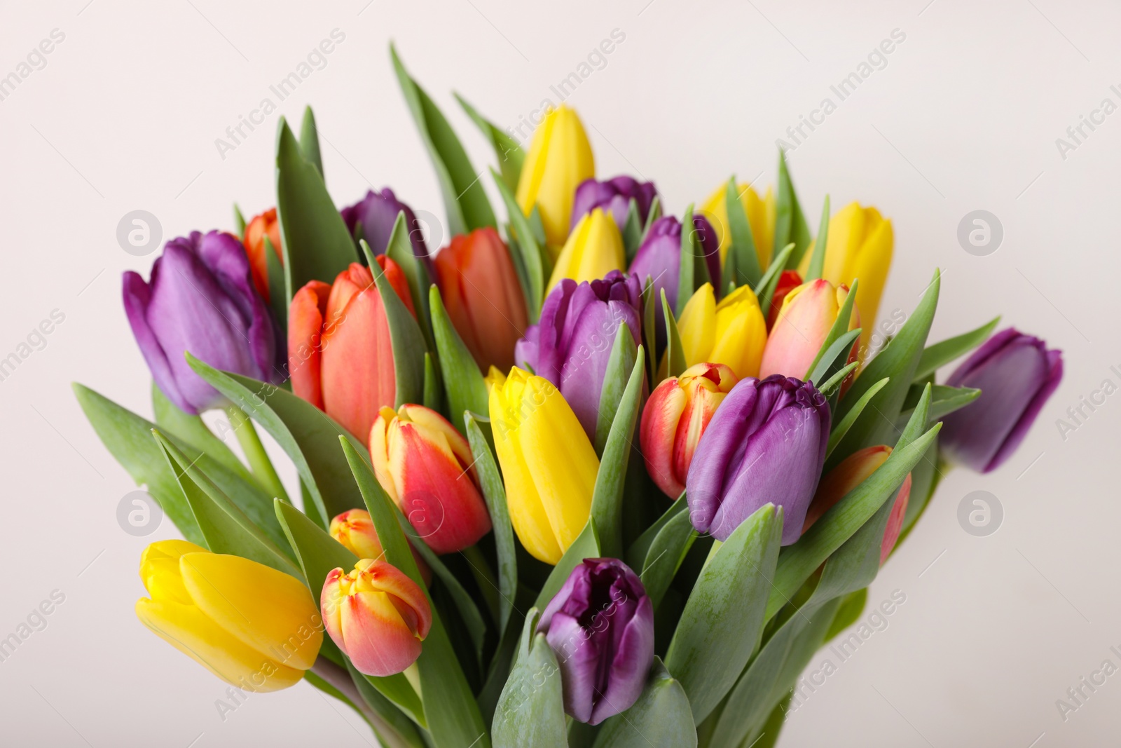 Photo of Bouquet of colorful tulips on white background, closeup