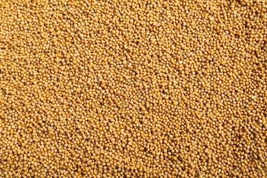 Photo of Aromatic mustard seeds as background, top view