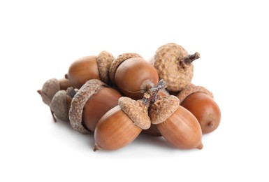 Photo of Pile of brown acorns on white background