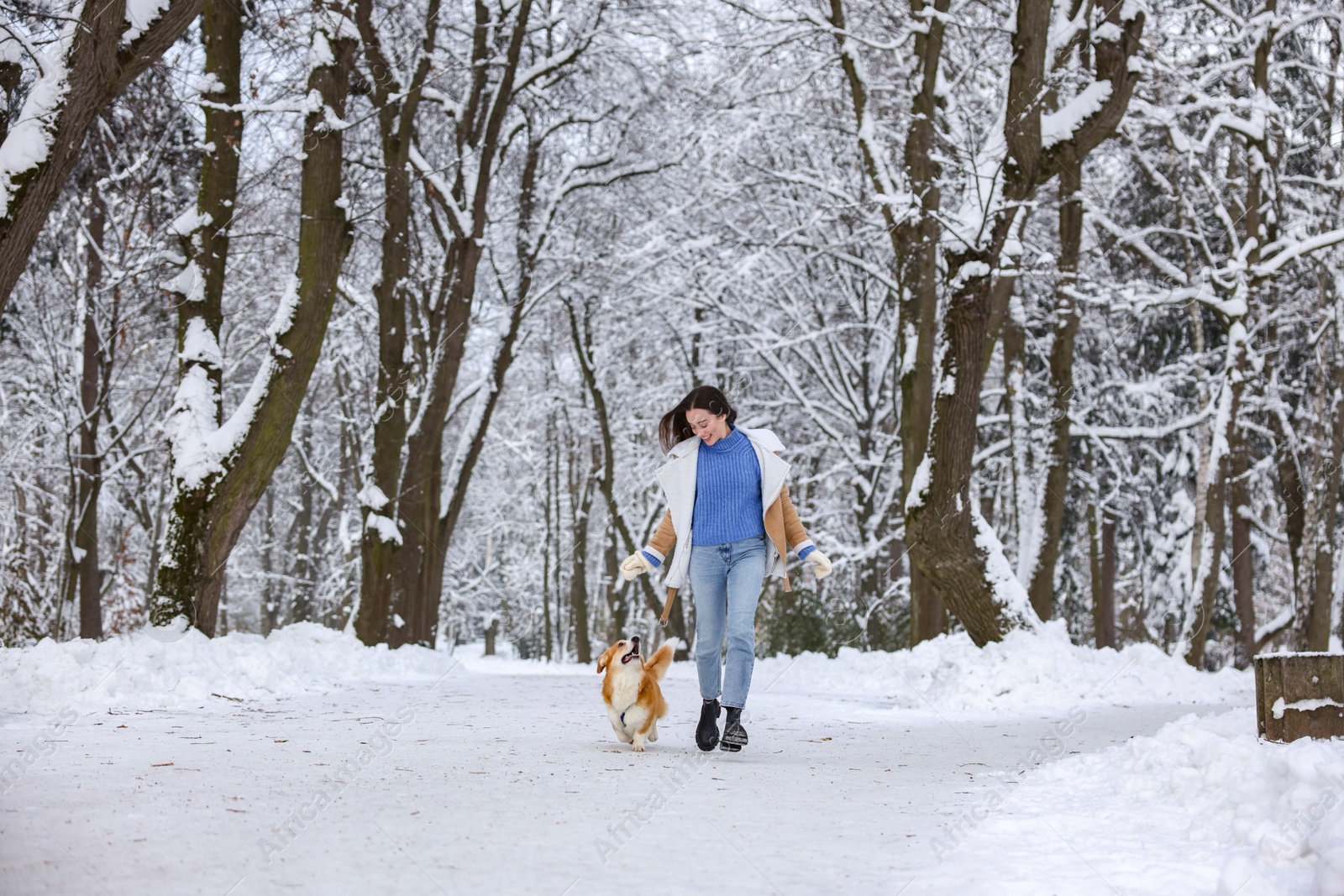 Photo of Woman with adorable Pembroke Welsh Corgi dog running in snowy park