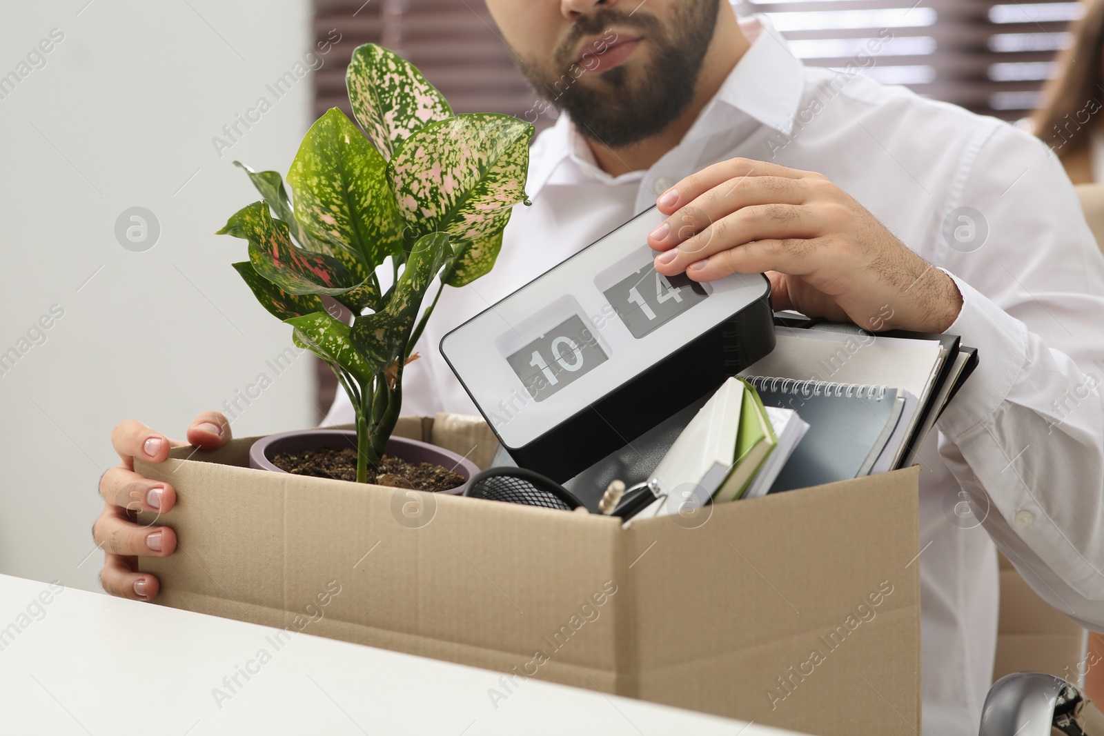 Photo of Dismissed man packing personal stuff into box in office, closeup