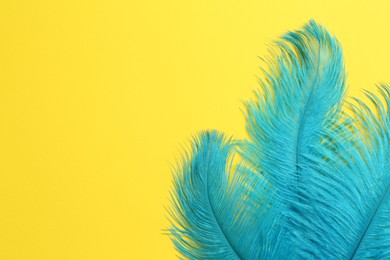 Beautiful light blue feathers on yellow background, top view. Space for text