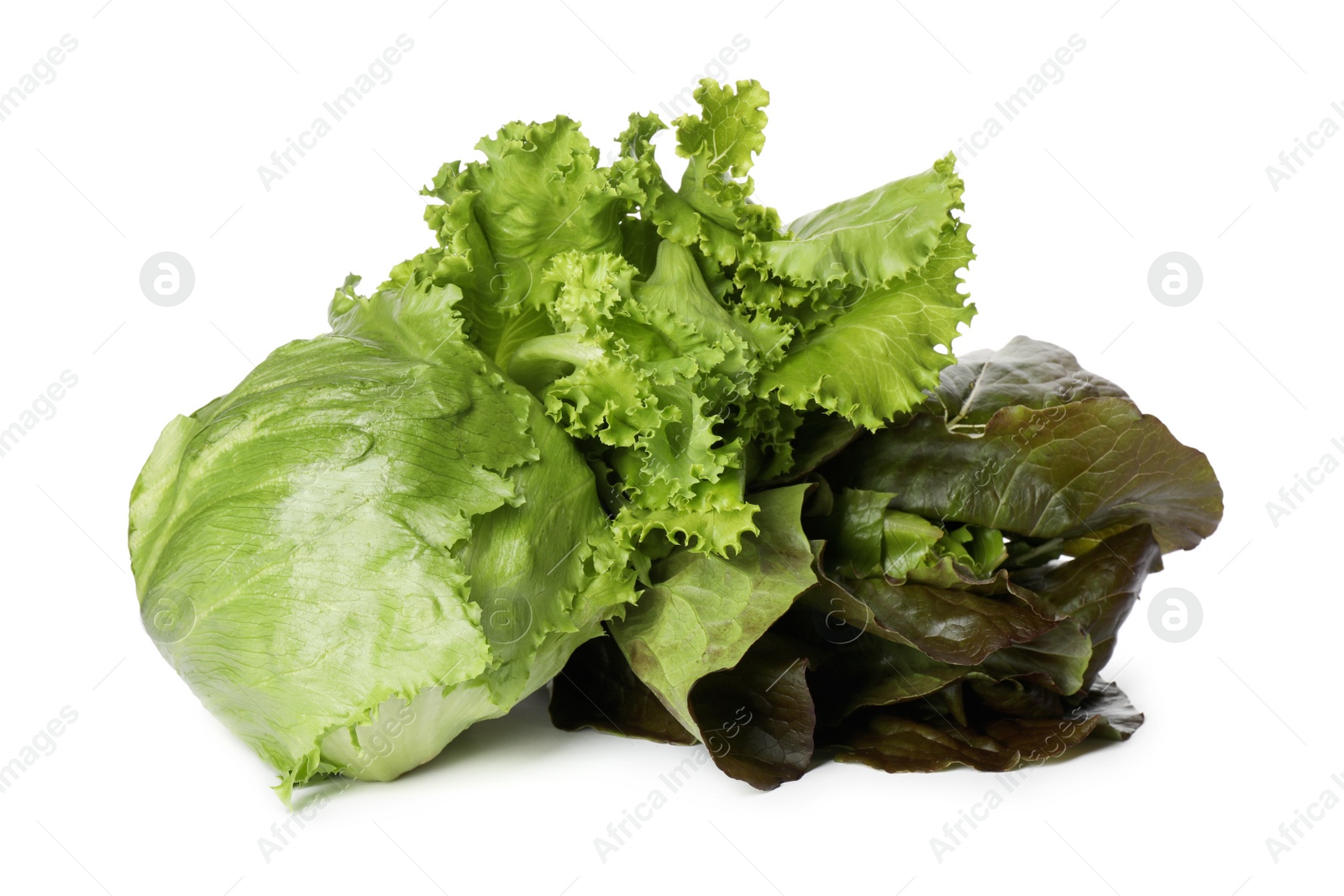 Photo of Different sorts of lettuce on white background