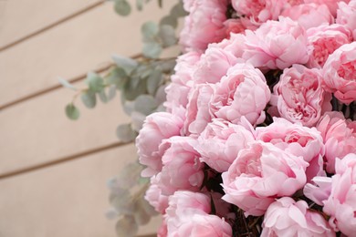 Photo of Many beautiful peony flowers on beige wall of building, closeup. Space for text