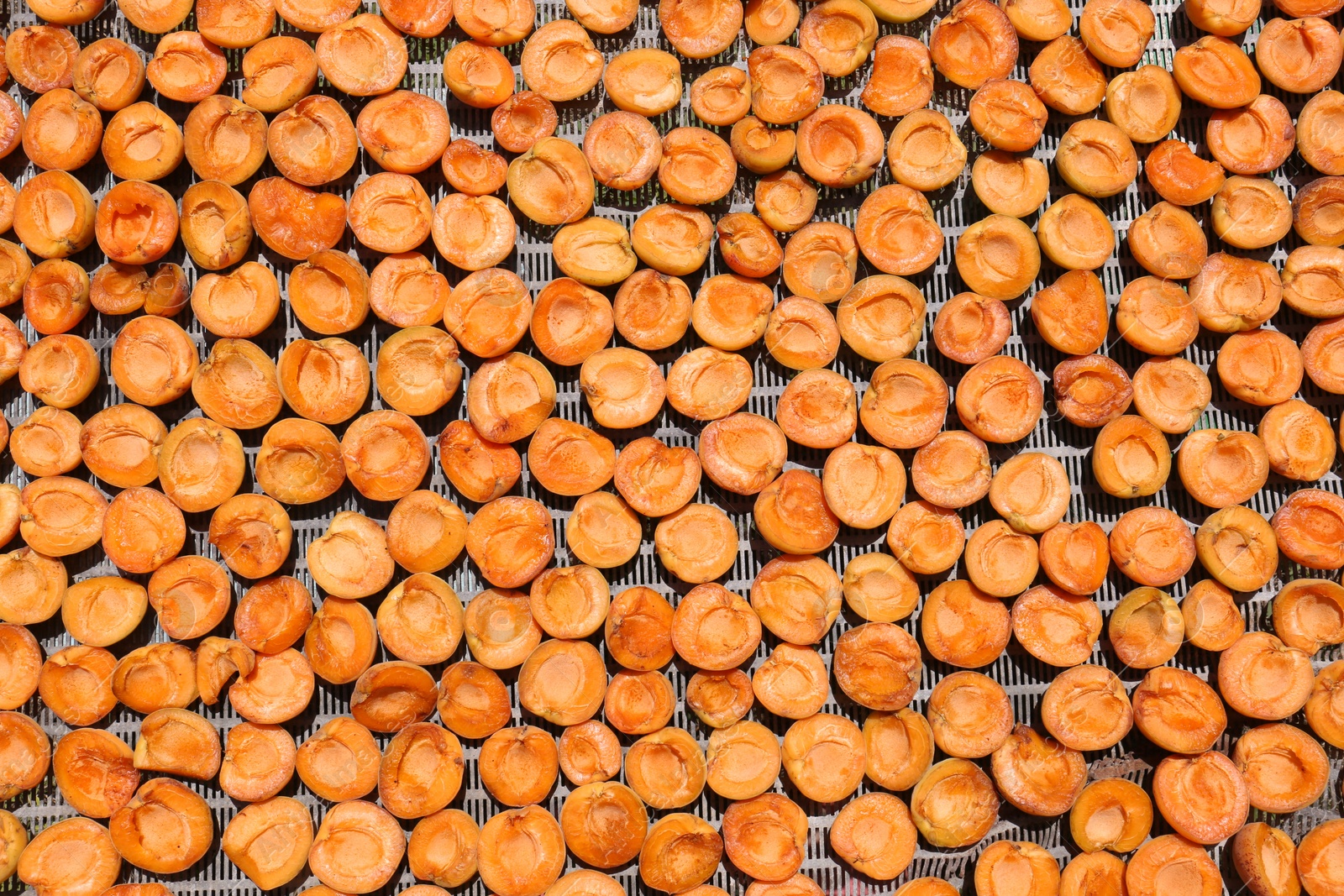 Photo of Many halved apricots on metal drying rack, flat lay