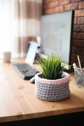 Knitted flowerpot cover with plant on office table. Interior element